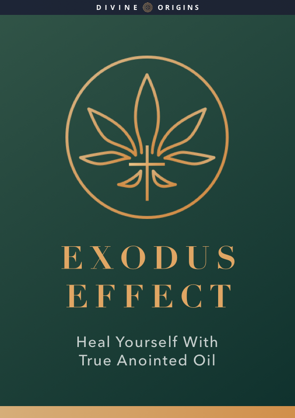Exodus Effect Book Cover